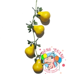 Trái Lê - dây - 4 trái