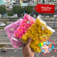 Hoa Mai, Đào (set 40)