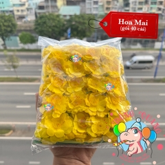 Hoa Mai, Đào (set 40)