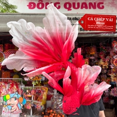 Cá chép vải voan lụa