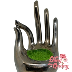 Chậu hoa bàn tay Phật