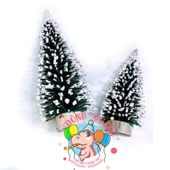 Cây thông kim mini