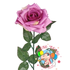 Hoa hồng - cành - 1 bông