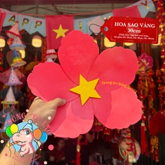 Hoa đỏ sao vàng Việt Nam