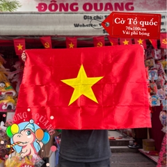 Cờ Việt Nam