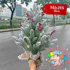 Cây thông mini PE 2 loại lá phủ tuyết cherry