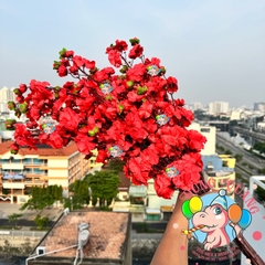 Cành mai, đào lớn