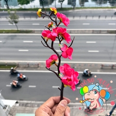 Cành mai, đào nhỏ