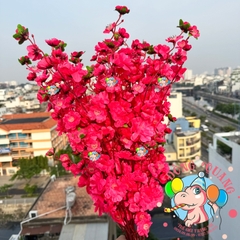 Cành mai, đào lớn