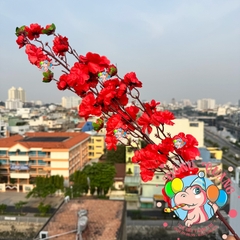 Cành mai, đào lớn