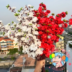 Cành mai, đào lớn