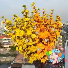 Cành mai, đào lớn