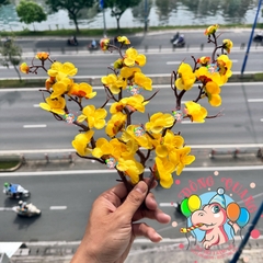 Cành mai, đào nhỏ