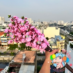 Cành mai, đào lớn