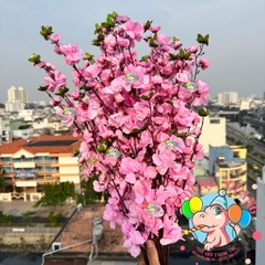 Cành mai, đào lớn