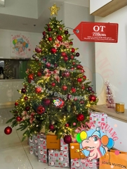 Cây thông 3 loại lá PE (cành tự động xoè)