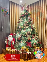 Cây thông 3 loại lá PE (cành tự động xoè)