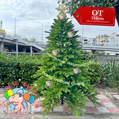 Cây thông 3 loại lá PE (cành tự động xoè)