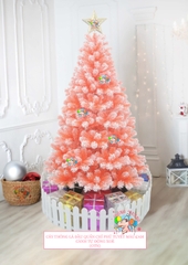 Cây thông phủ tuyết màu cam (cành tự động xoè)