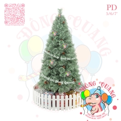 Cây thông cước nở hoa gắn trái thông