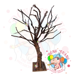 Cây khô treo lì xì (chưa trang trí)