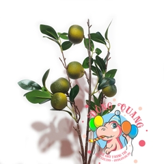 Cành quất (tắc)