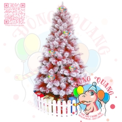 Cây thông cước đỏ phủ tuyết (cành tự động xoè)