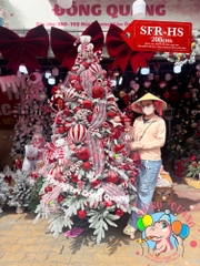 Cây thông PE-SFR phủ tuyết (cành tự động xoè)