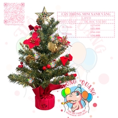 Cây thông mini xanh vàng