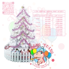 Cây thông trắng phủ tuyết