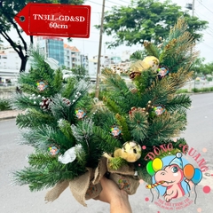 Cây thông mini 3 loại lá lăn kim tuyến