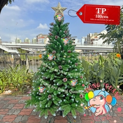 Cây thông đầu nhọn phun sơn gắn trái thông (cành treo)