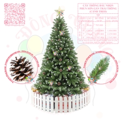 Cây thông đầu nhọn phun sơn gắn trái thông (cành treo)