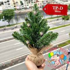 Cây thông mini đầu nhọn sơn bìa