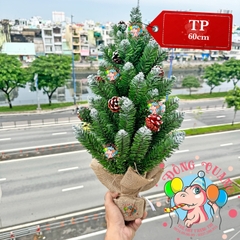 Cây thông mini đầu nhọn phun sơn gắn trái thông