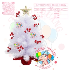 Cây thông mini trắng cherry