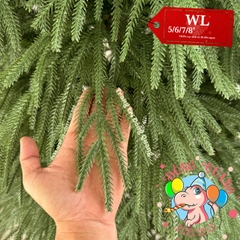 Cây thông PE, PVC lá rủ (cành tự động xoè)