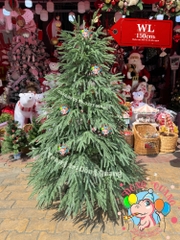 Cây thông PE, PVC lá rủ (cành tự động xoè)