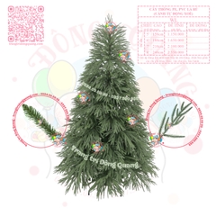 Cây thông PE, PVC lá rủ (cành tự động xoè)