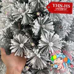 Cây thông cước đầu vàng phủ tuyết (cành tự động xoè)