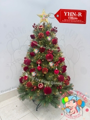 Cây thông cước đầu vàng cherry (cành tự động xoè)