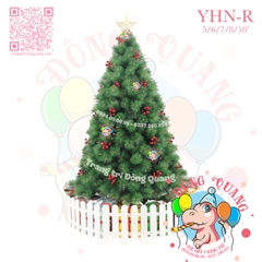 Cây thông cước đầu vàng cherry (cành tự động xoè)