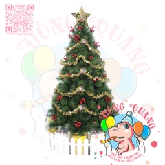 Cây thông cước đầu vàng cherry (cành tự động xoè)