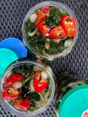 Kiệu cuốn lá Quảng Trị