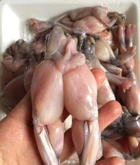 Combo 2 khay Đùi Ếch