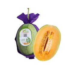 Dưa lưới Đài Loan