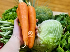 Box Rau Củ Đủ Đầy
