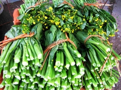 Cải ngồng