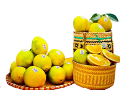 Combo Vitamin C 2