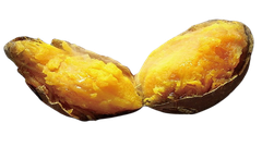 Khoai lang mật nướng sẵn Lào Cai